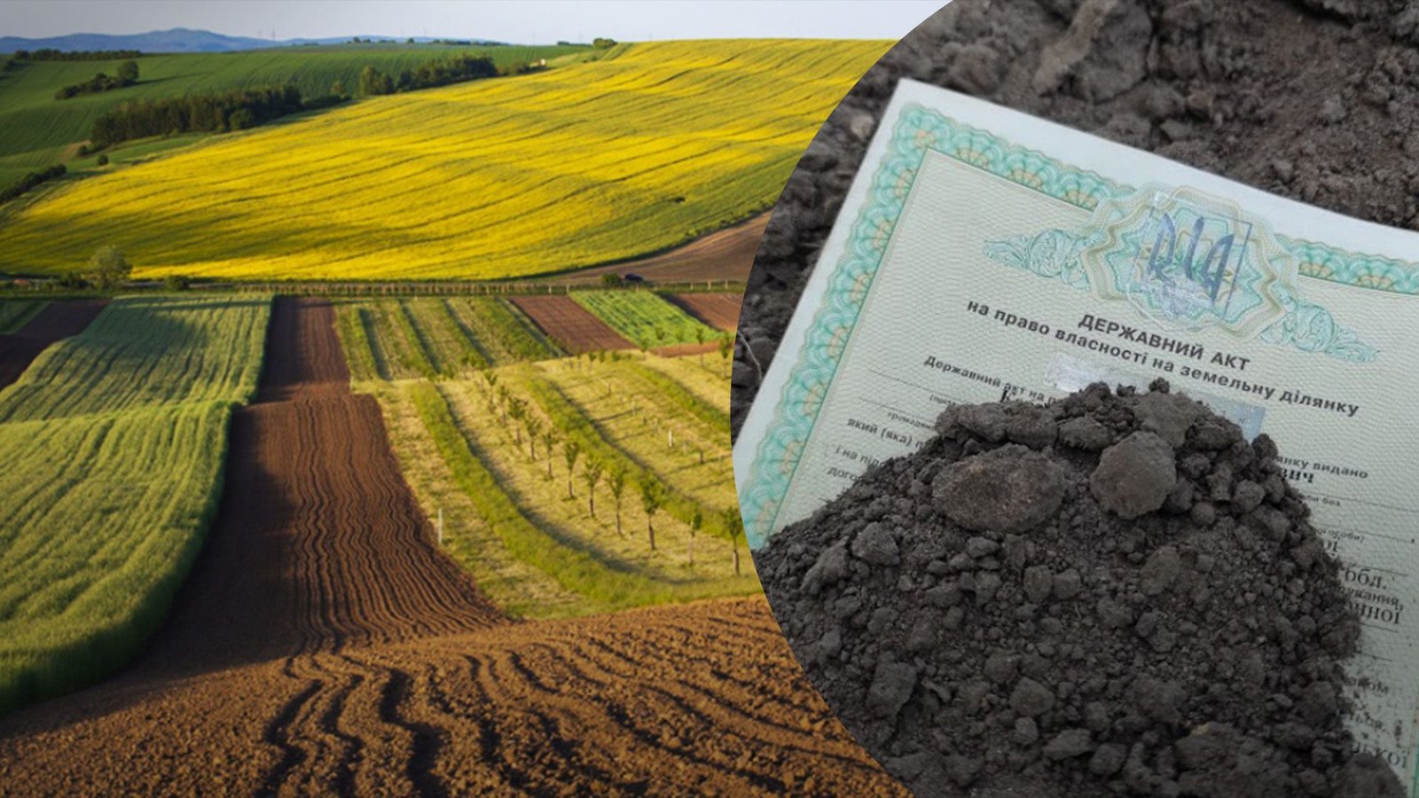 Украинцы рискуют потерять земельные участки: как сохранить право собственности