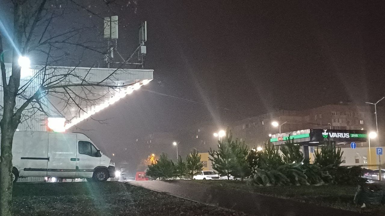 Елочный базар на ж/м Победа в Днепре