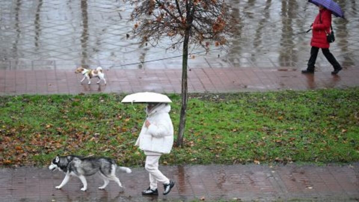 Сильний туман і +5: якою буде погода у Дніпрі 3 грудня