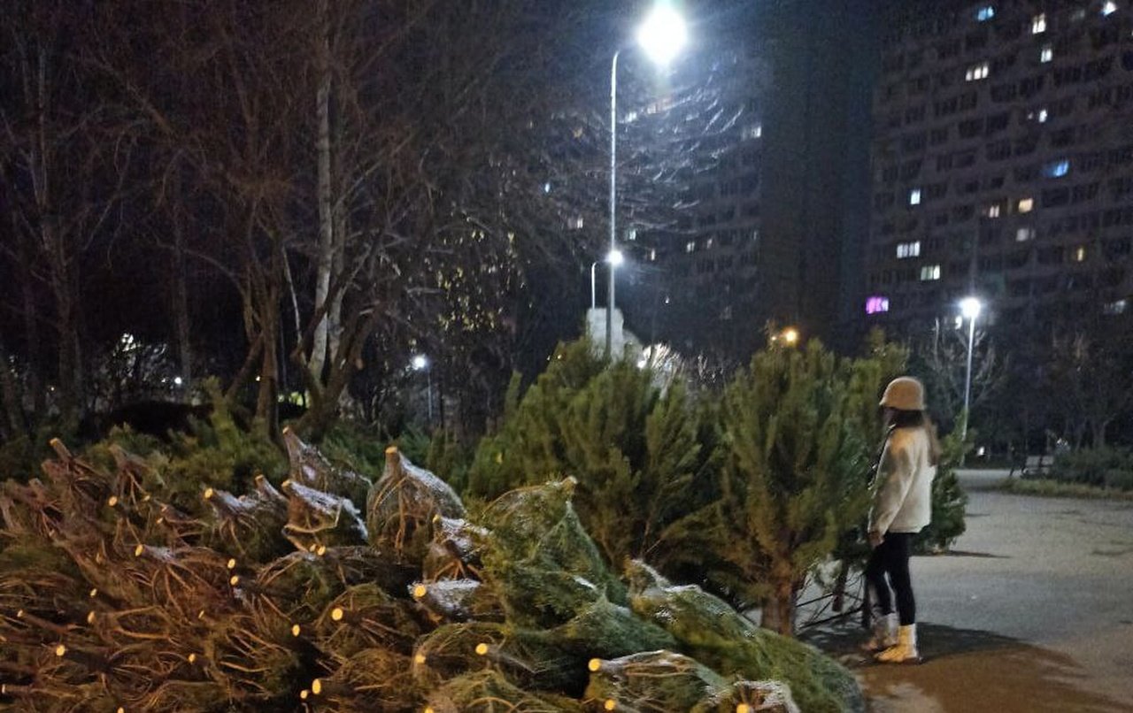 Елочный базар на бульваре Славы