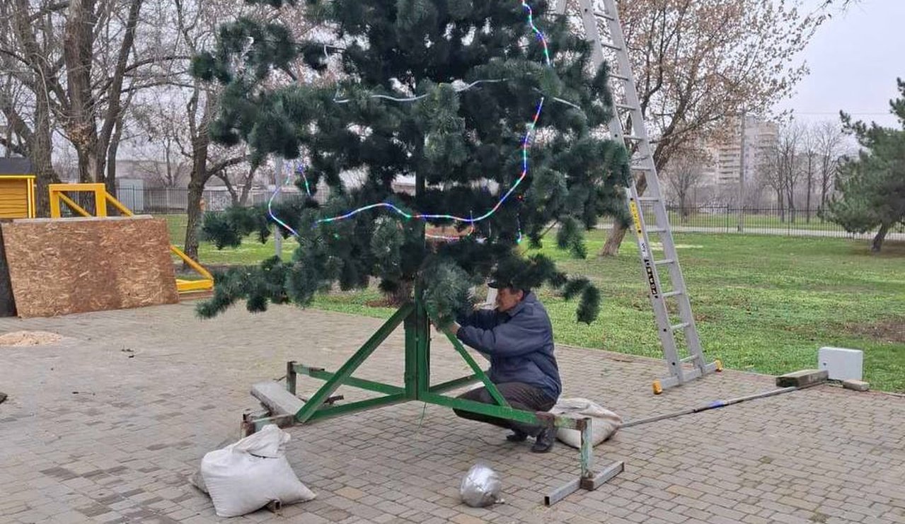 Ялинка, яку готують до свята