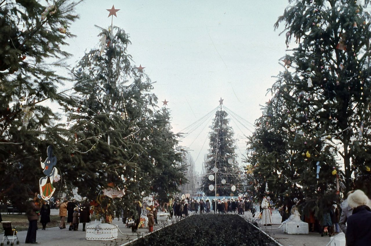Ялинки в парку Глоби в 1981 році