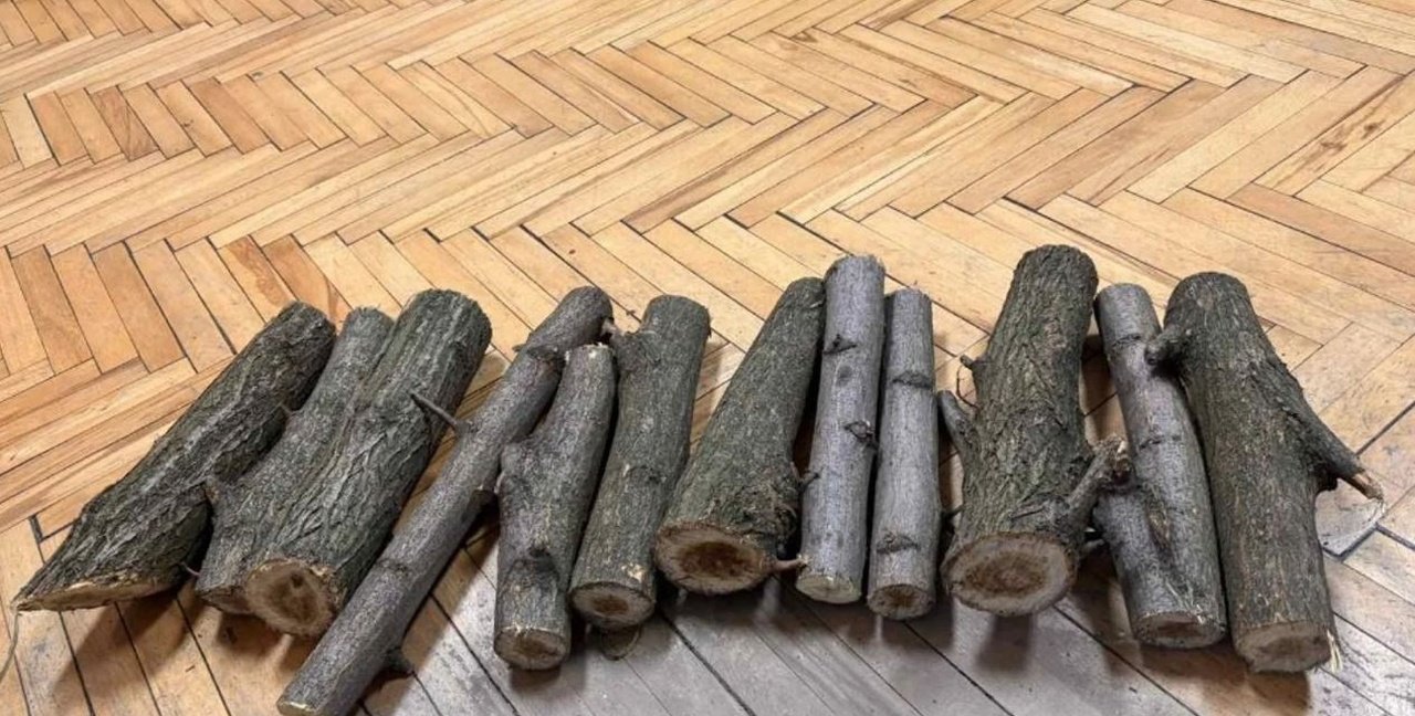 Конфискованная древесина