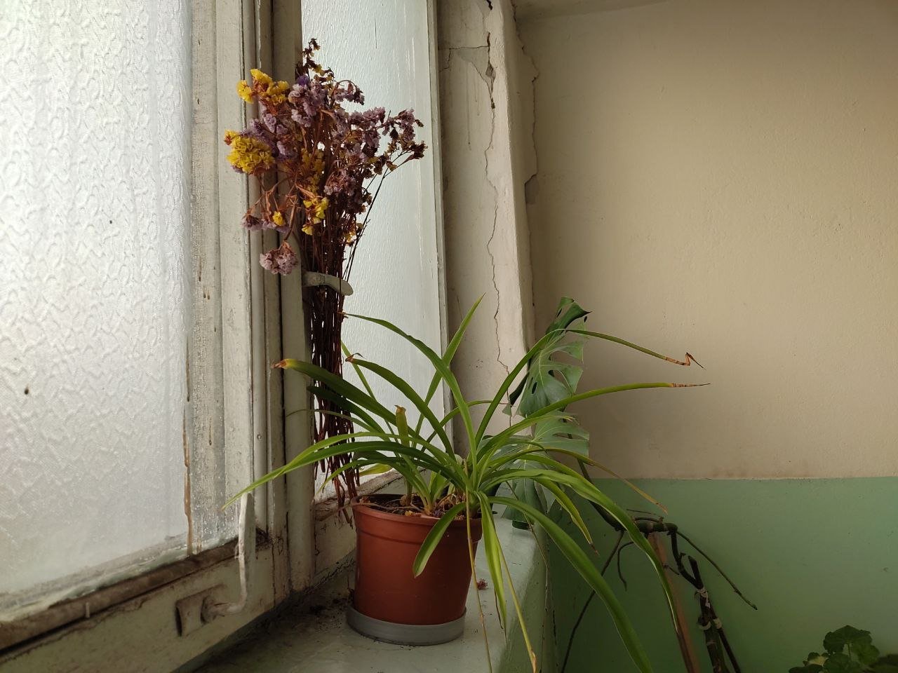 В Днепре на жилом массиве Тополь жители одной из многоэтажек собственноручно превратили свой подъезд в небольшую артгалерею и зеленую зону. Об этом рассказала жительница дома, которая поделилась с Dnepr.info фотографиями.