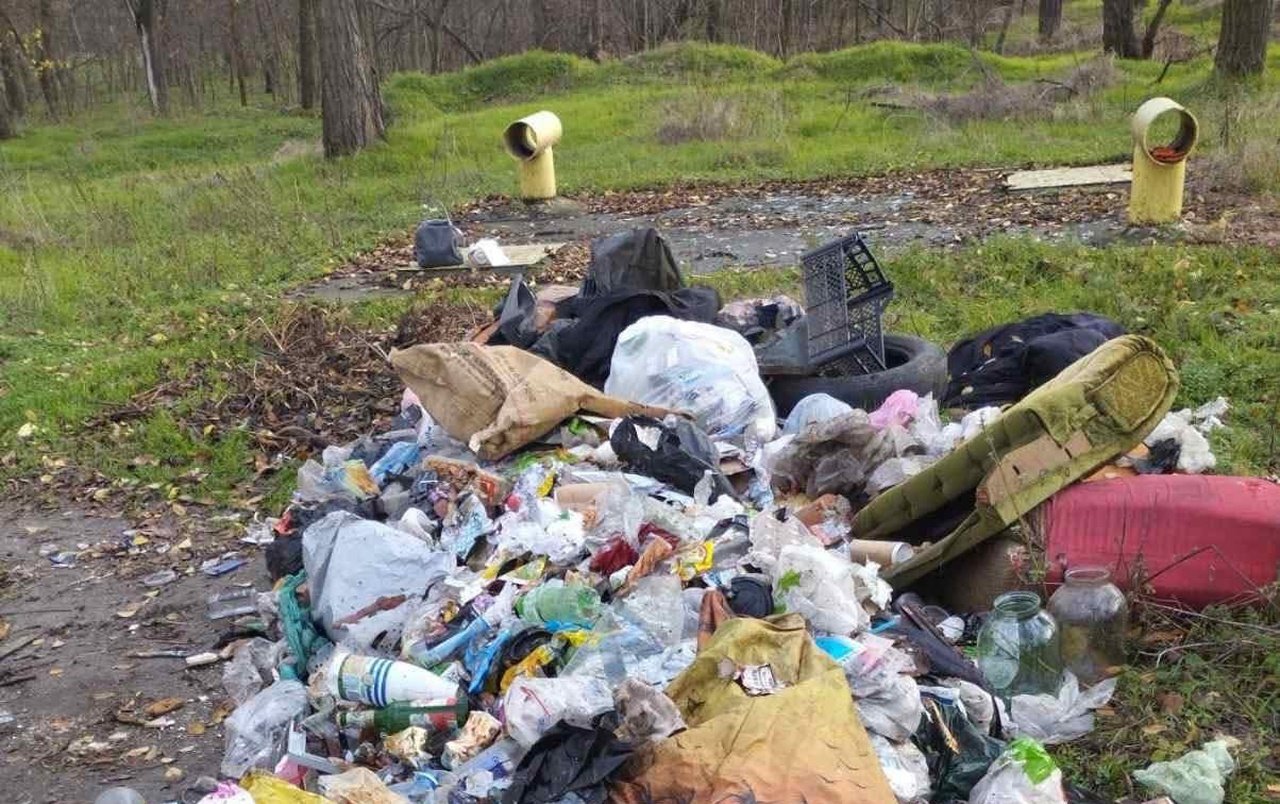 Купи сміття, щури та антисанітарія: у Дніпрі лісопарк перетворюється на стихійне звалище