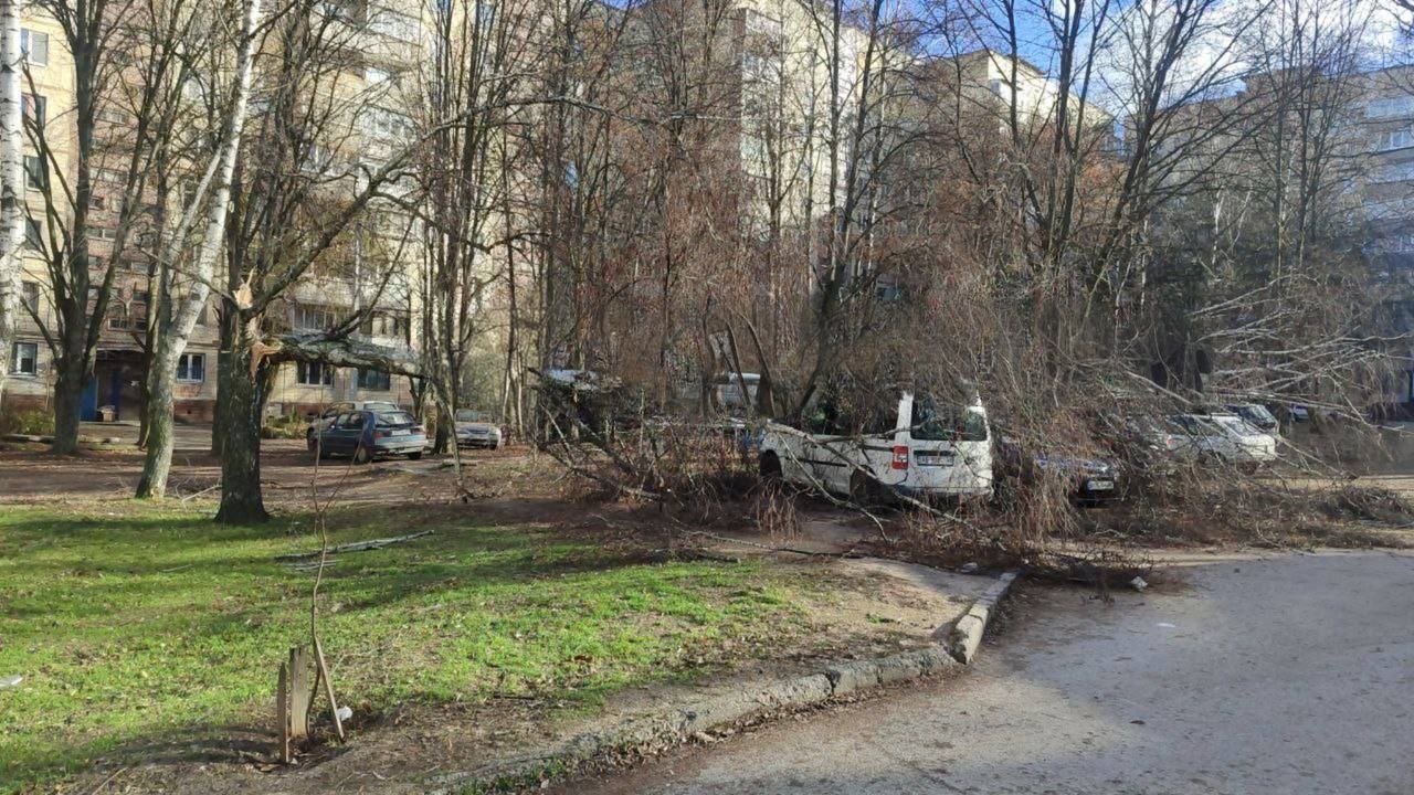 У Дніпрі сильний вітер повалив дерево на припарковані автомобілі