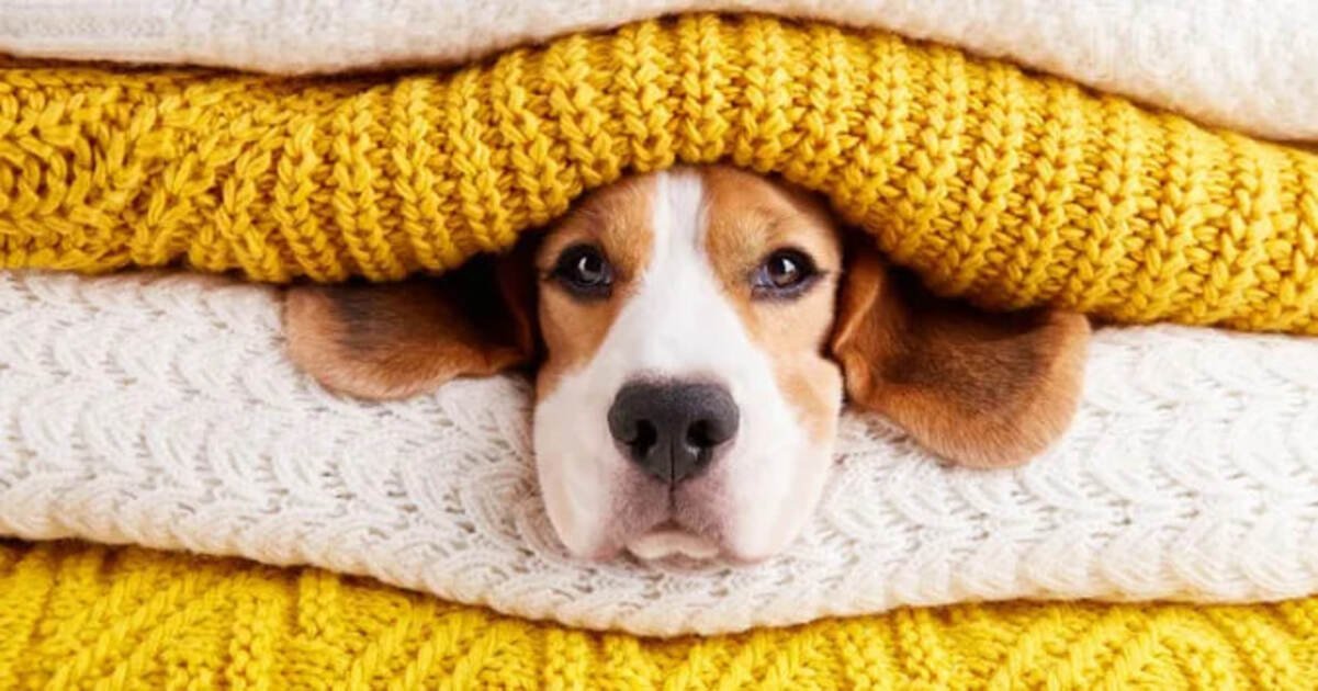 Одевайтесь теплее: прогноз погоды в Днепре на 23 декабря