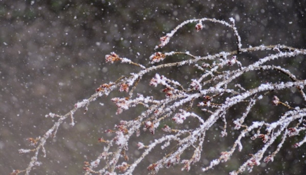 Прогноз погоди на 24 грудня: у Дніпрі буде похмуро та морозно 