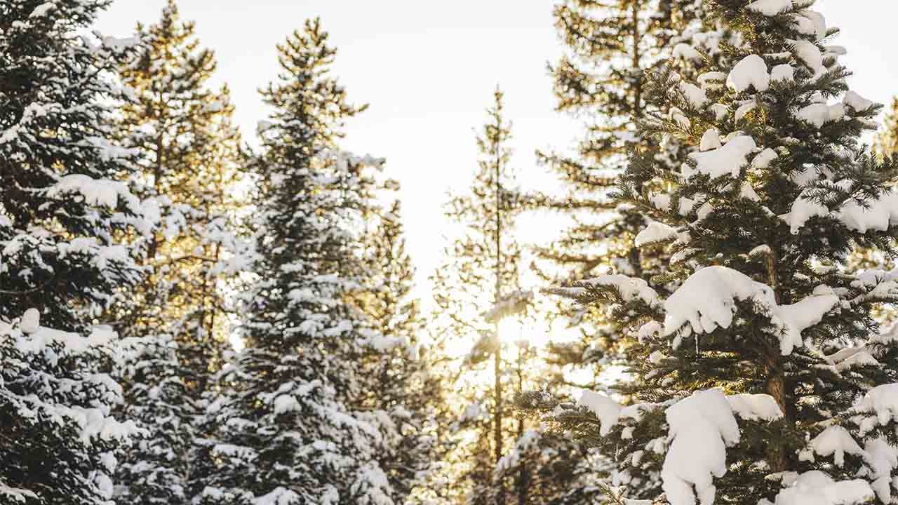 Яке свято 27 грудня в Україні та світі: церковні, народні та професійні події