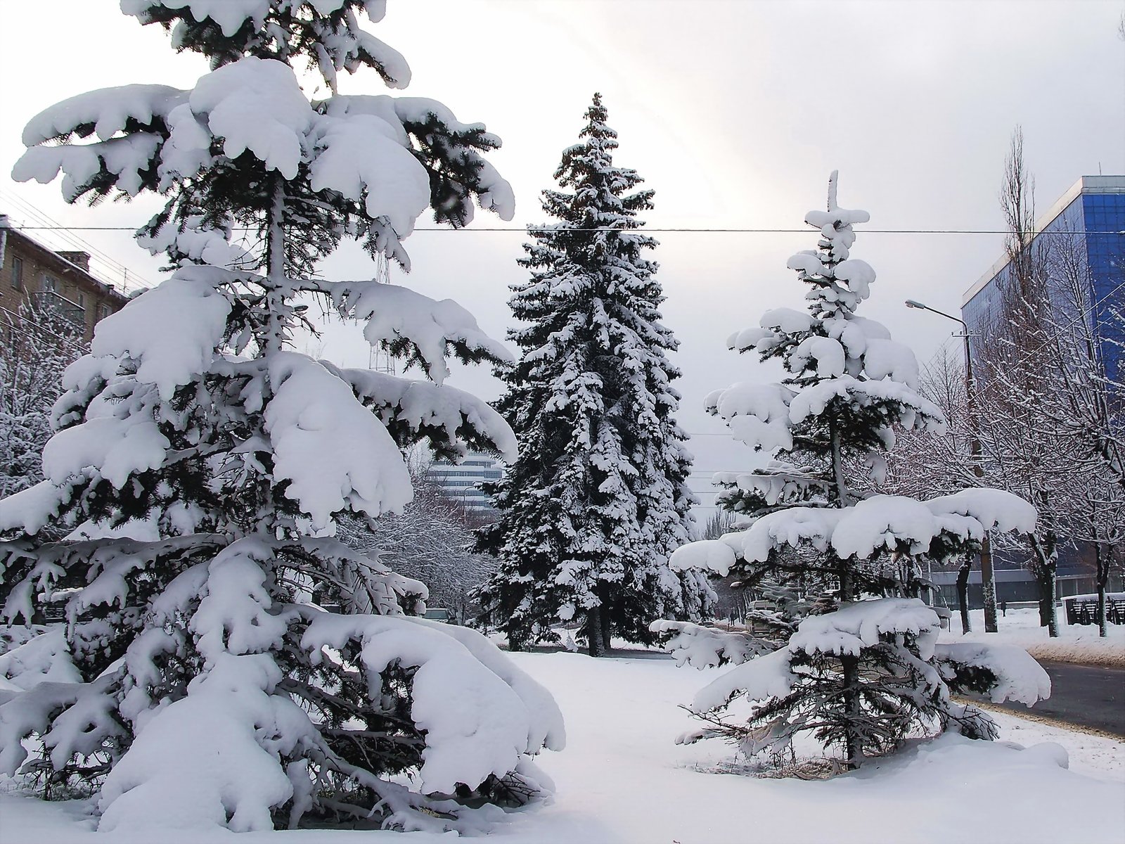 В Днепре 27 декабря ожидается облачная погода со снегом и легким морозом.