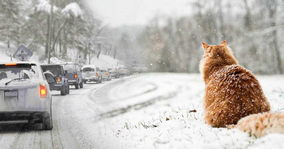 Сніжний день та ожеледь: якою буде погода у Дніпрі 30 грудня 