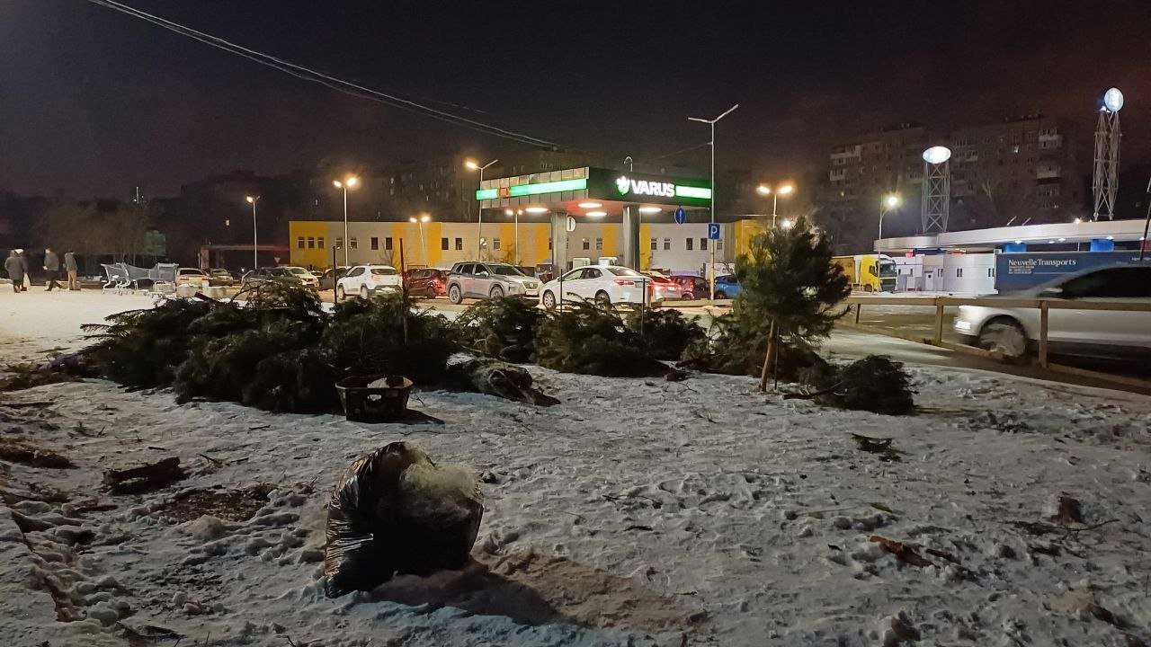Елки в Днепре оставлены посреди улицы