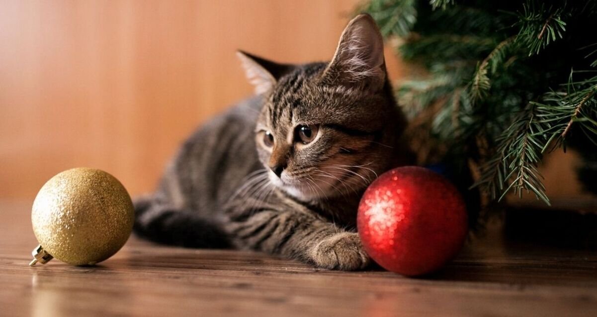 Яке сьогодні свято і кого вітати з іменинами: 2 січня — все про цей день