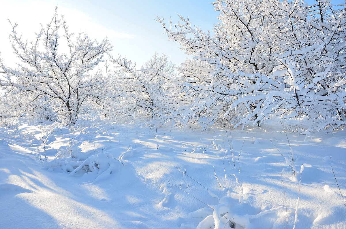 Хто святкує іменини 3 січня та яке сьогодні церковне свято