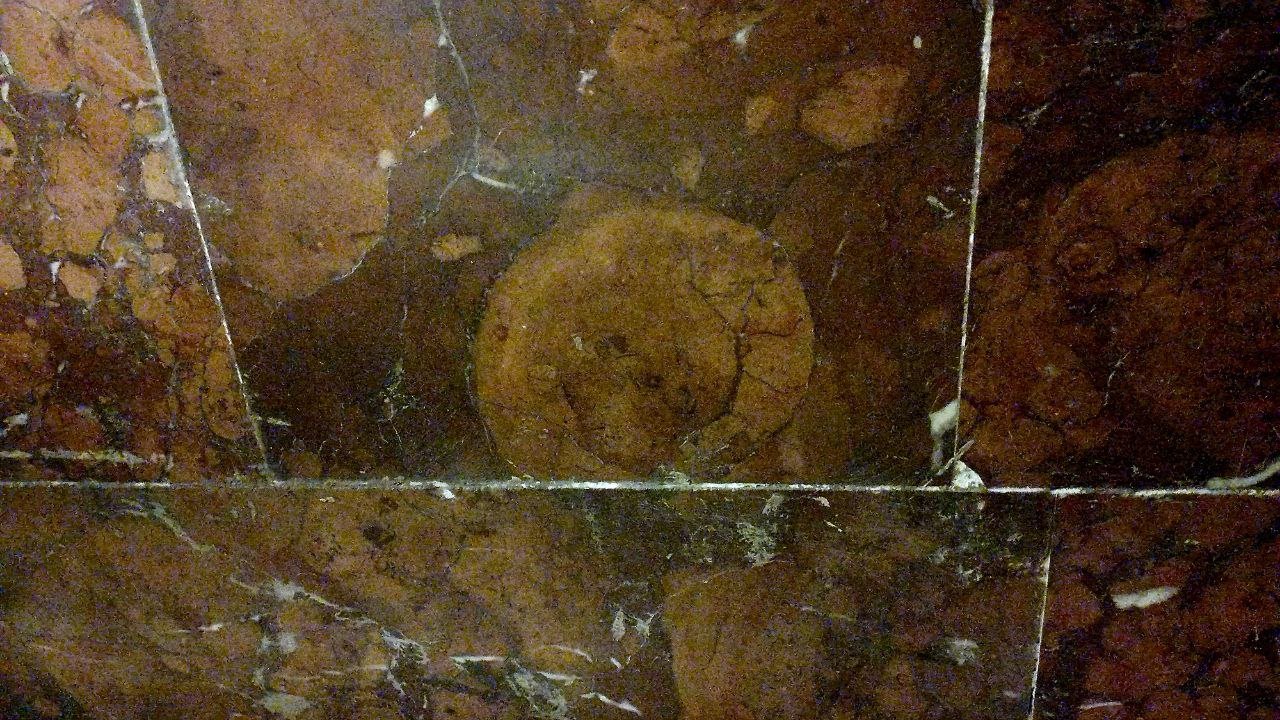 У Дніпрі на станції метро «Покровська» помітили стародавні артефакти у мармурі