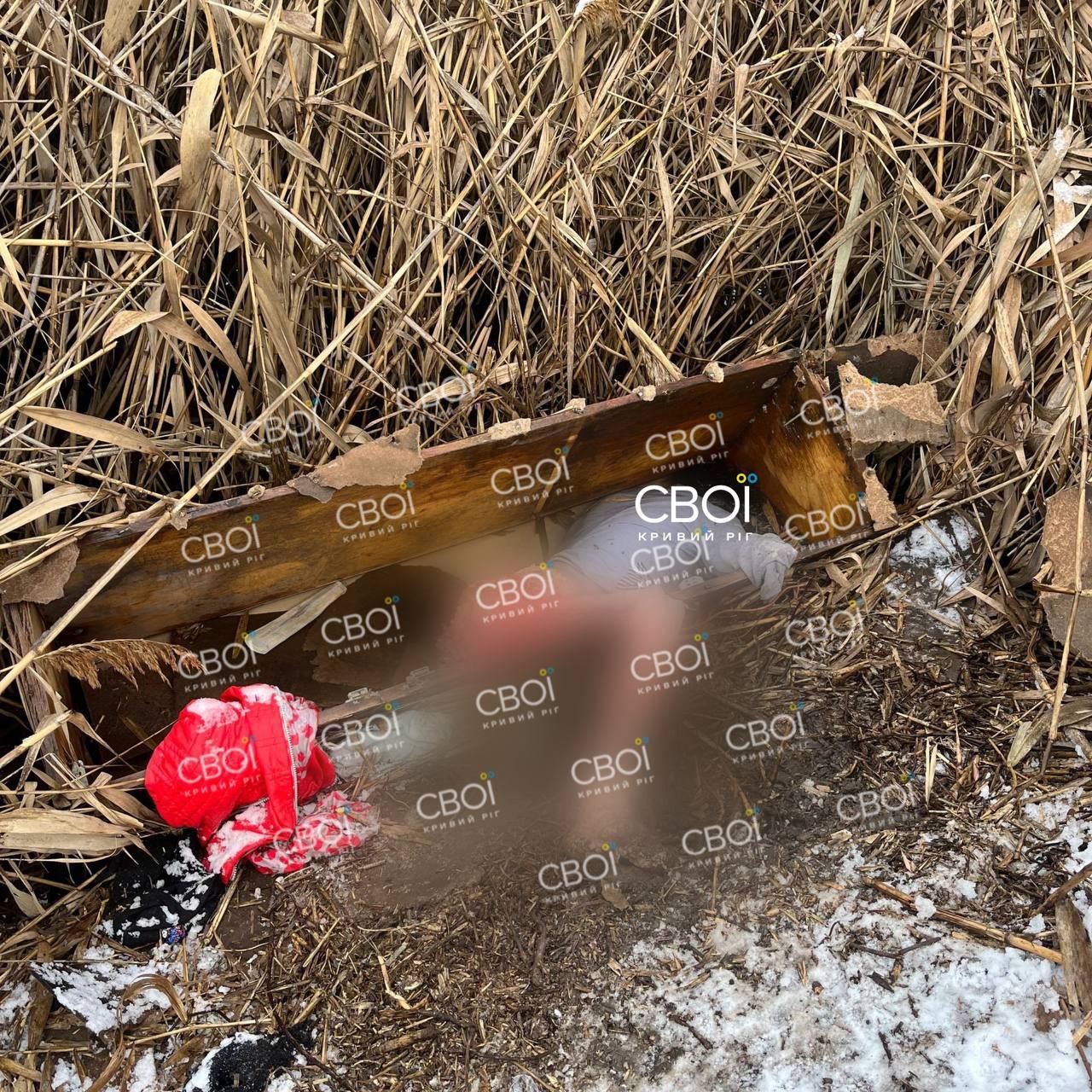 У Кривому Розі у шафі біля гаражів знайшли тіло зниклої жінки