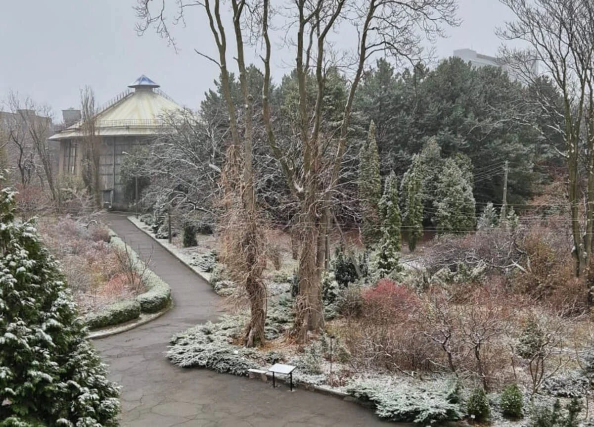 У Дніпрі подорожчав вхід до ботсаду: нові ціни