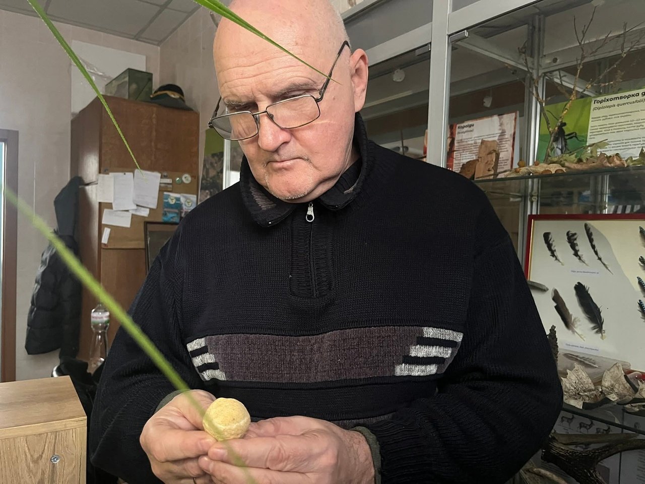 Науковець роздивляється морський організм.