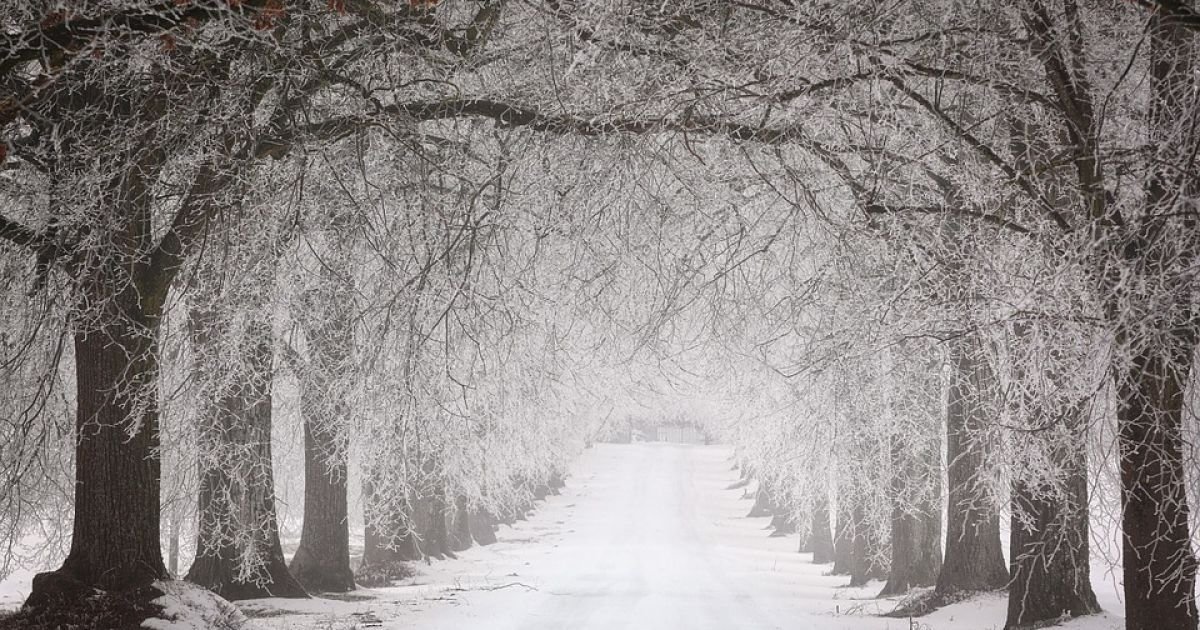 Ожеледь і хуртовина на дорогах: прогноз погоди для Дніпра та області на 11 січня