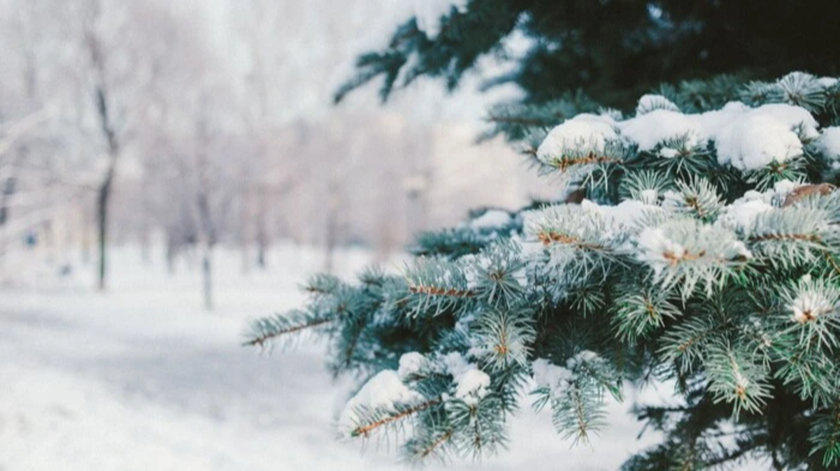 Яке сьогодні свято і кого вітати з іменинами: 13 січня - все про цей день