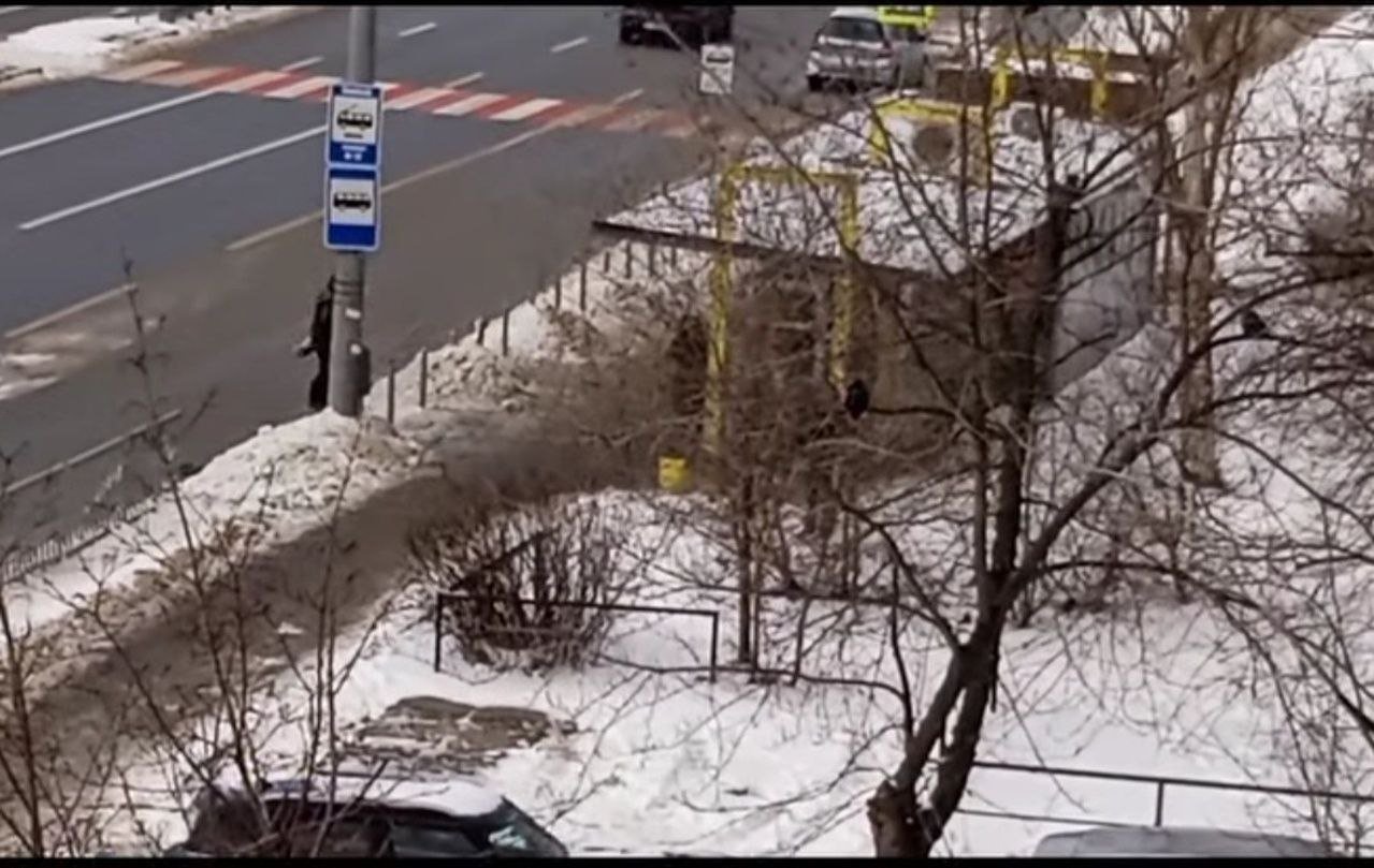 Человек на остановке расчищает снег