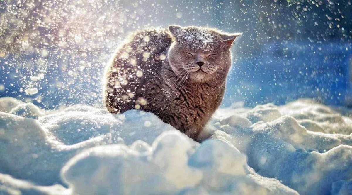 Яке сьогодні свято і кого вітати з іменинами: 16 січня — все про цей день