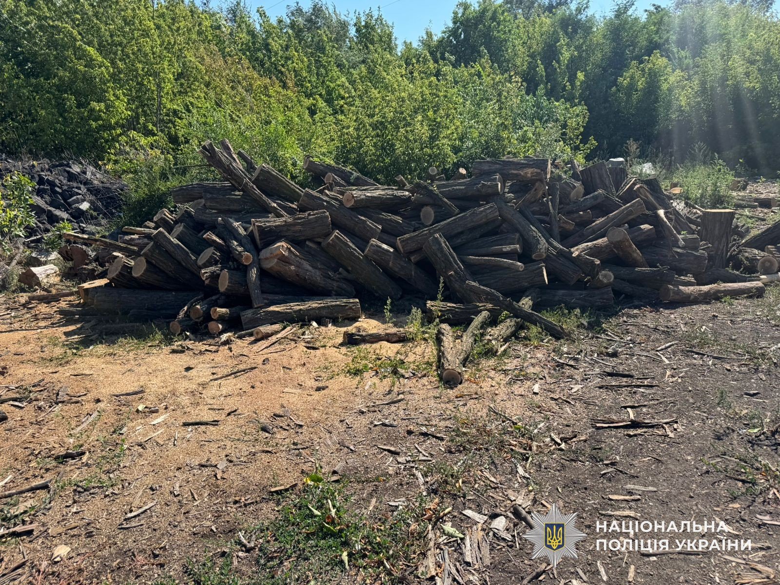 Организованная группа нанесла окружающую среду Днепропетровщины ущерб на 20 млн грн
