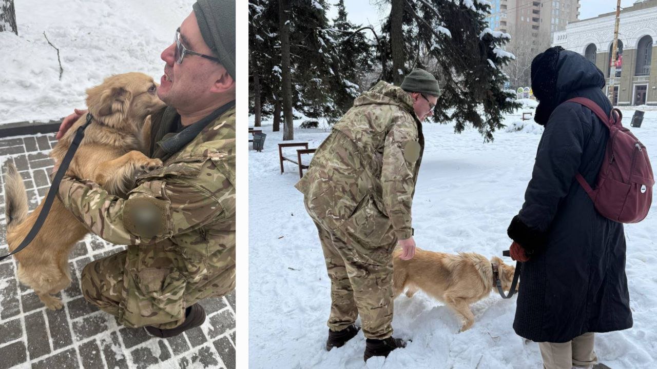 Собака вернулась к своим хозяевам