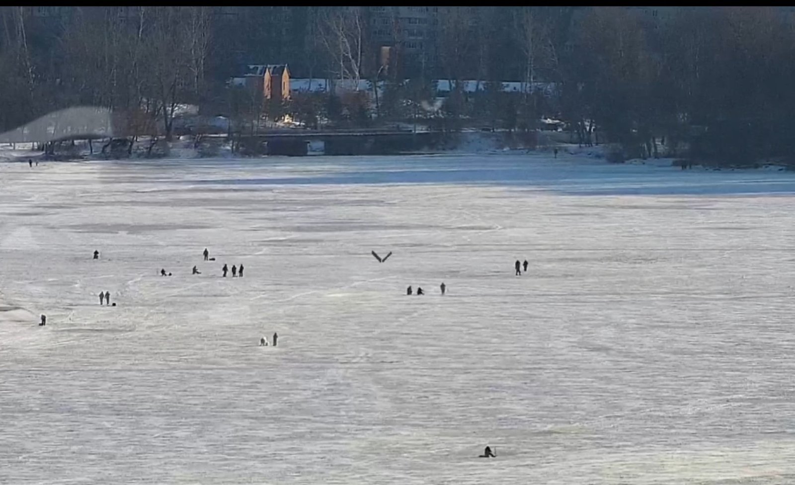 Рибалки на Дніпрі 