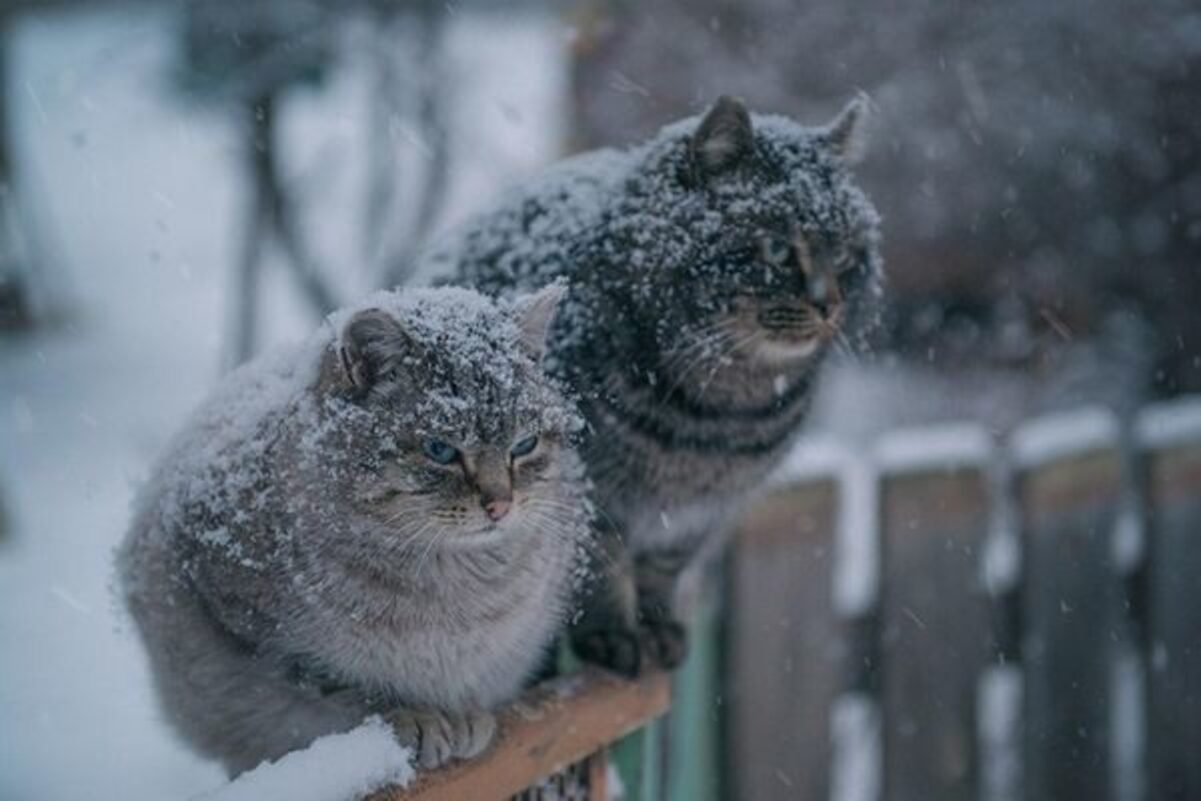 Погода у Дніпрі 21 січня: хмарно і морозно 