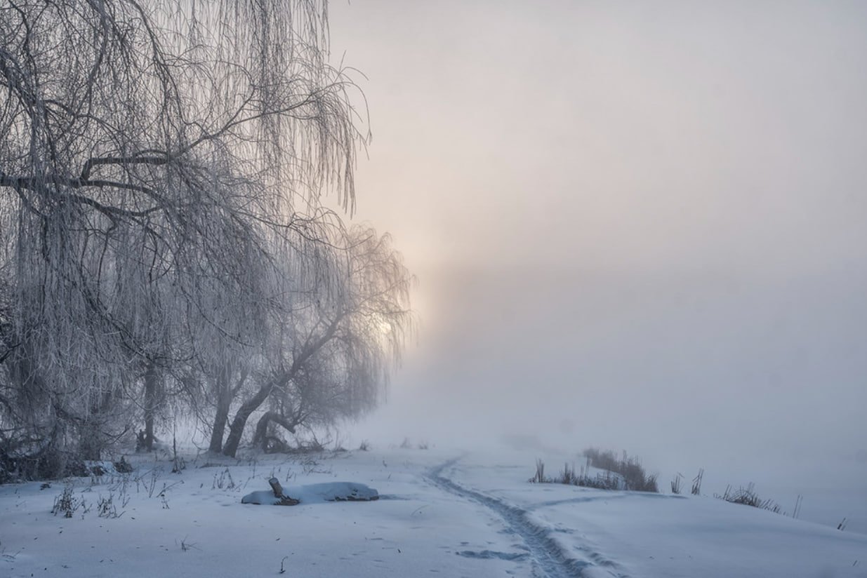 Мороз и сильный туман: прогноз погоды в Днепре на сегодня