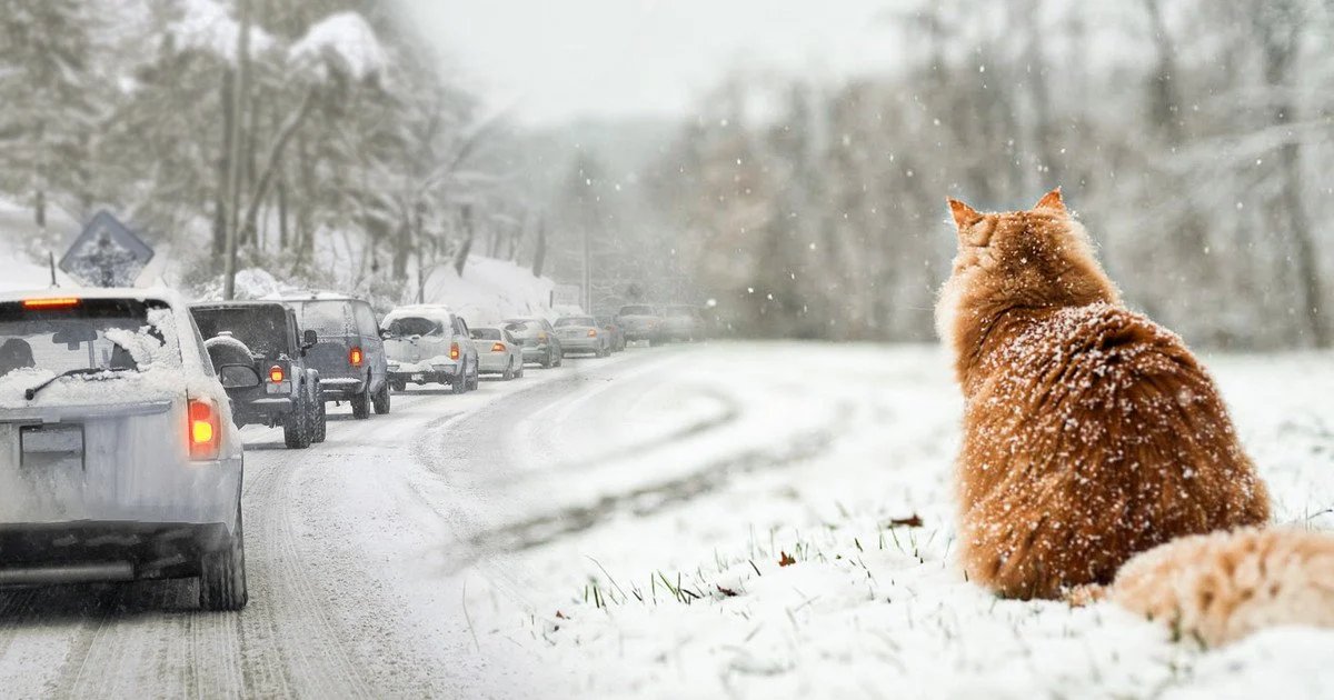Морозна й похмура погода: яким буде 24 січня у Дніпрі