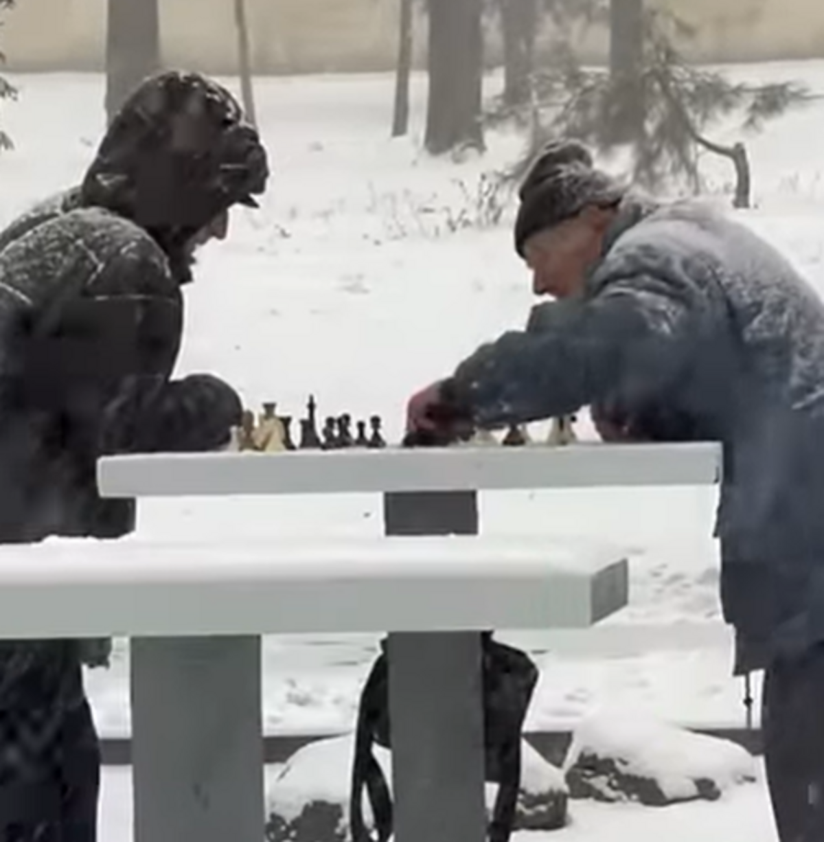 «Снегопад – не помеха»: в днепровском парке продолжается партия в шахматы
