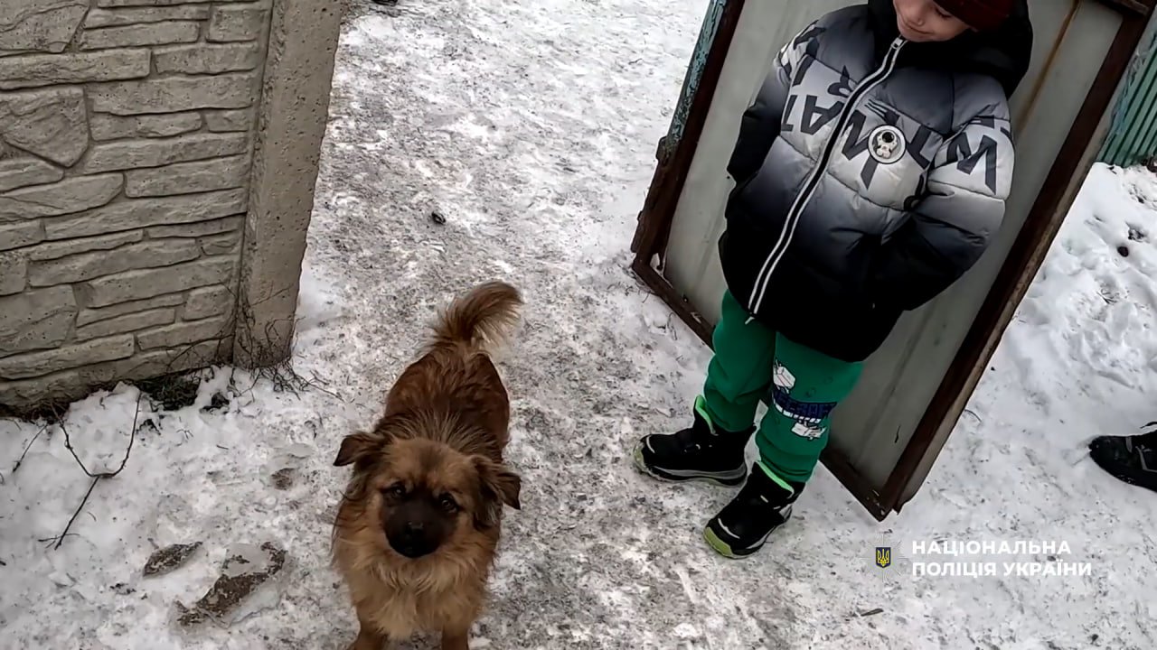 Эвакуация детей и пожилых людей