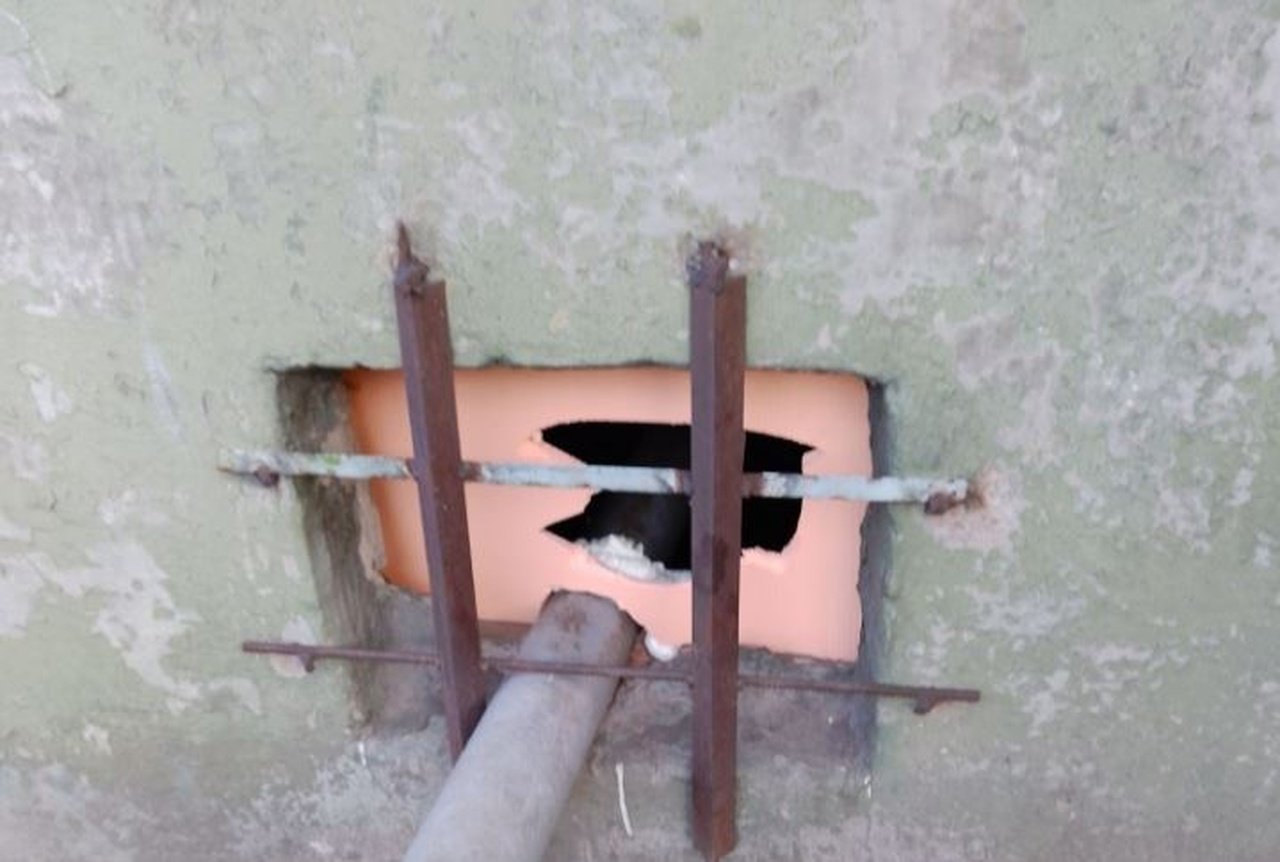 Доступ к подвалу закрыли для кошек