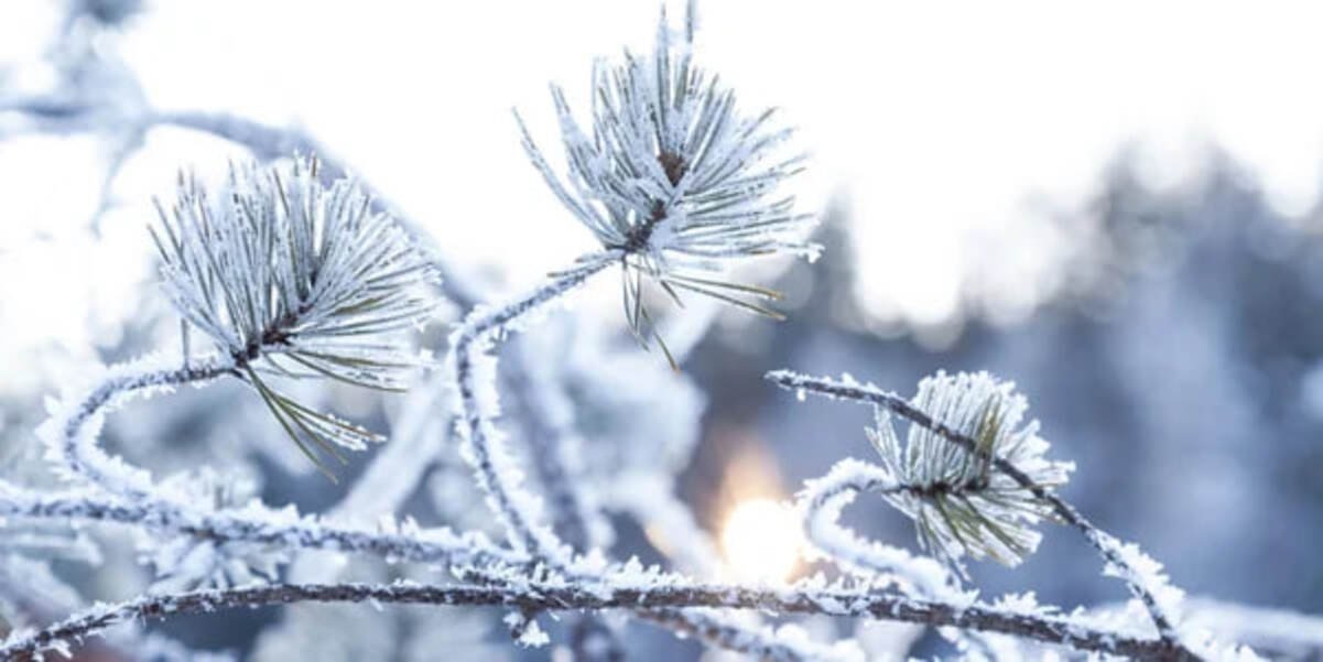 Мороз до -7: прогноз погоды в Днепре на 5 февраля