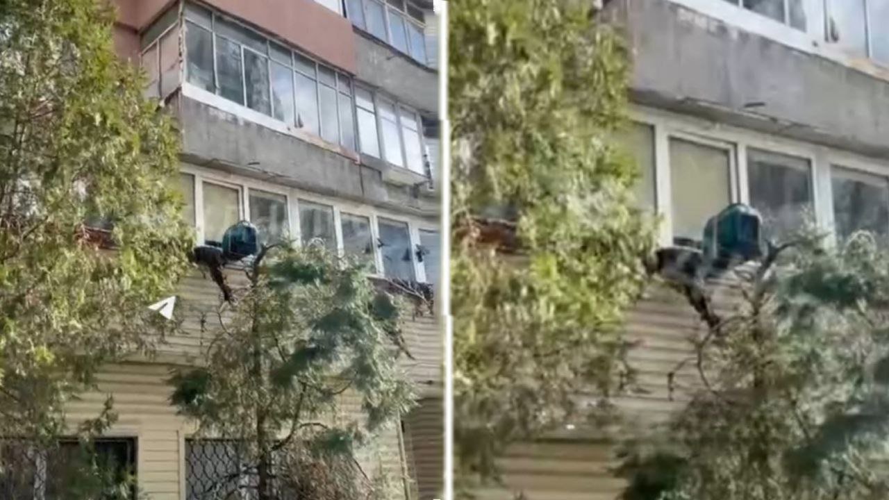 Генератор на балконі