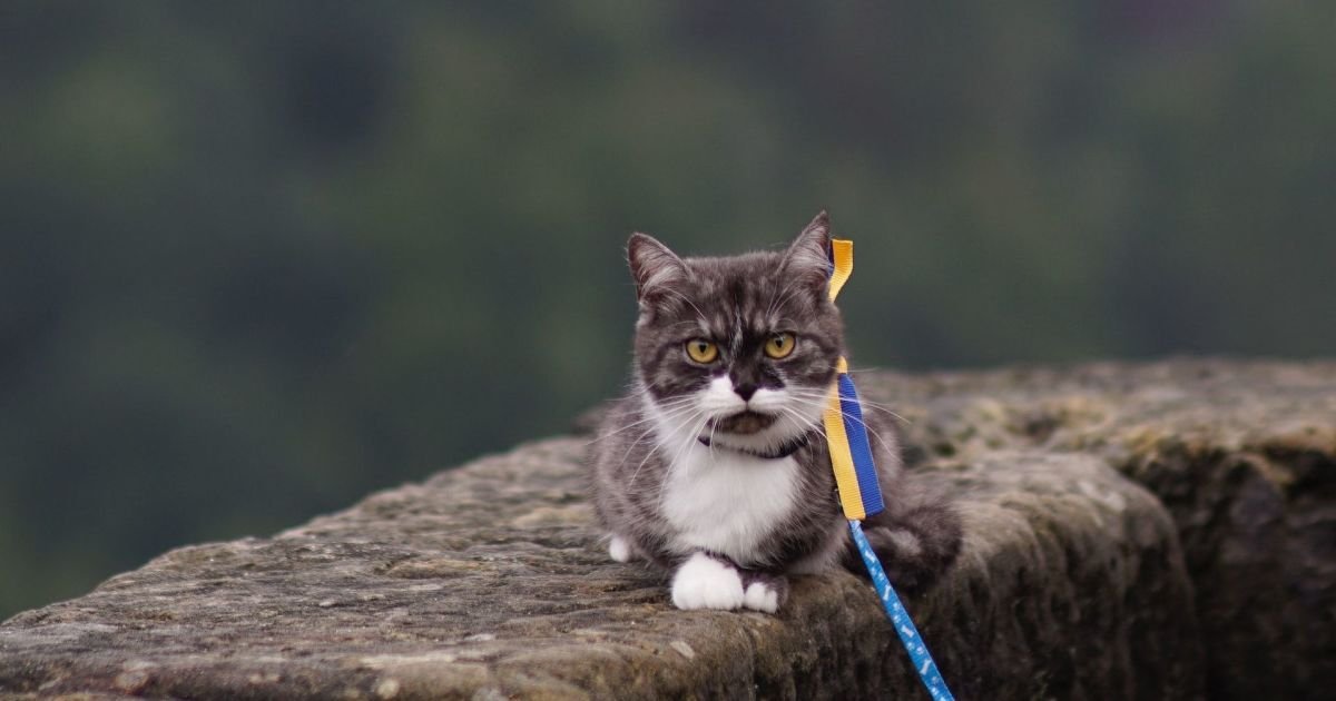 Какой сегодня праздник и кого поздравлять с именинами: 17 февраля — все об этом дне