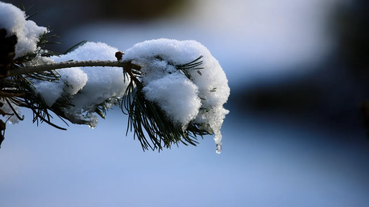 Пасмурный день без осадков: какой будет погода в Днепре 17 февраля