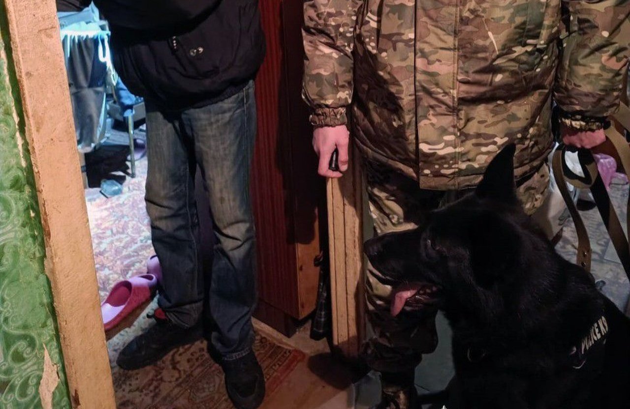 Пес помог раскрыть жестокое убийство прохожего в Днепре