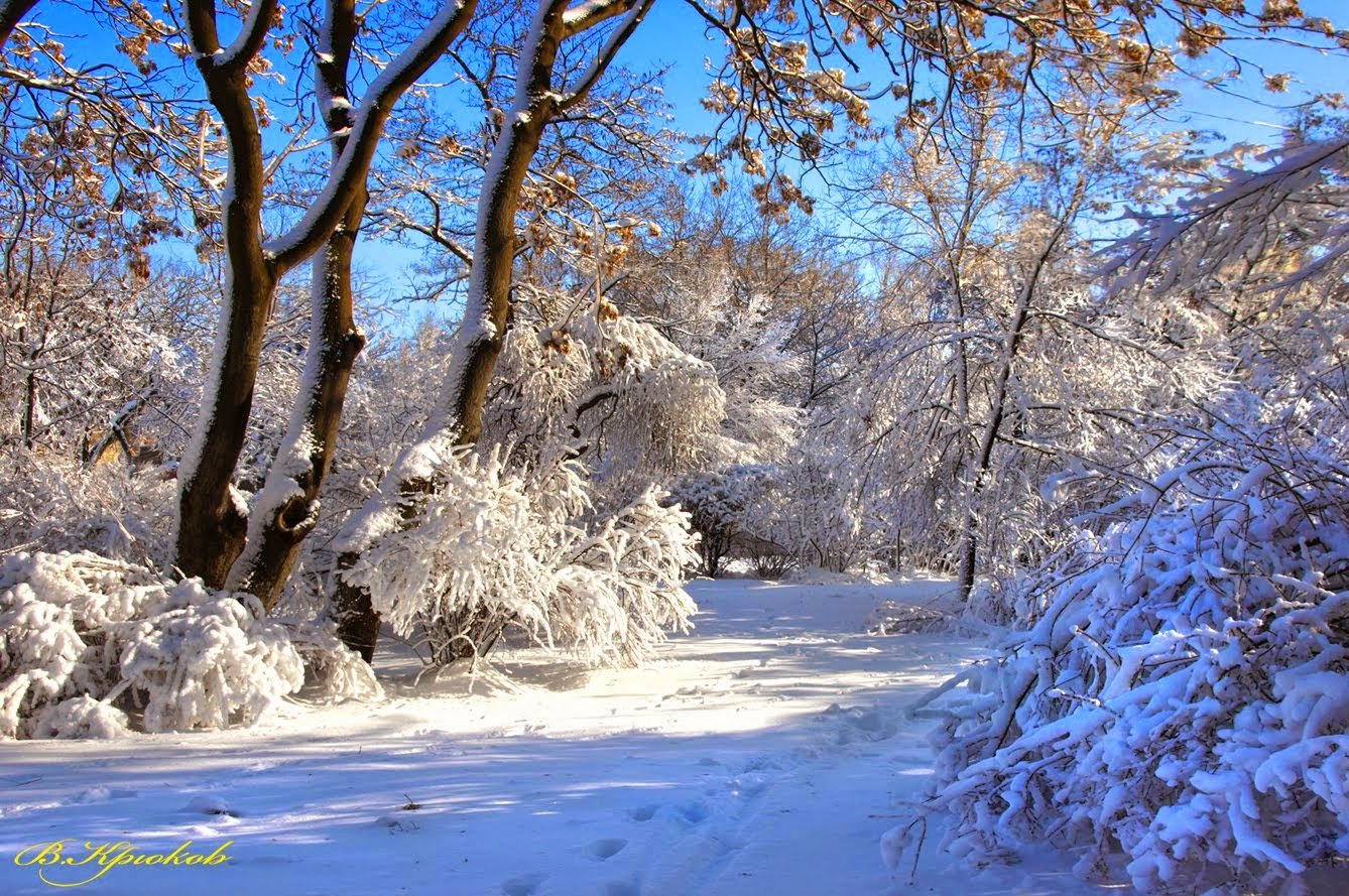 Прекрасное время для прогулок: в Днепре сегодня будет ясно
