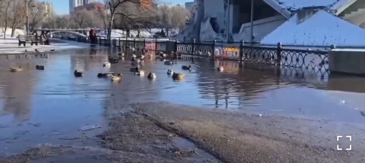 Парк Глобы в Днепре временно превратился в Венецию