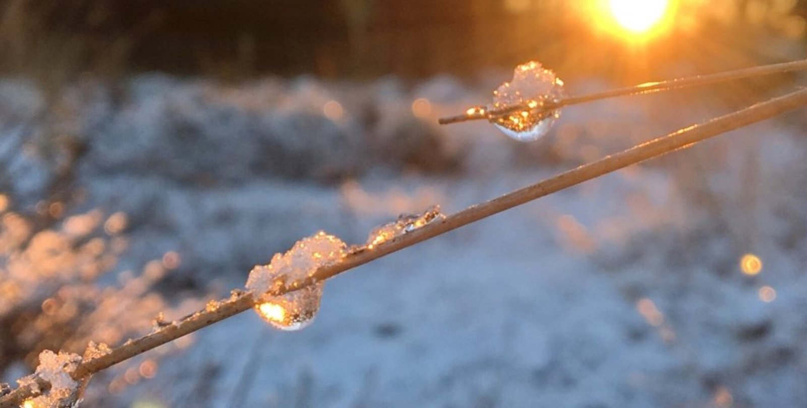 Прогноз погоды в Днепре на 23 февраля: солнечно и морозно