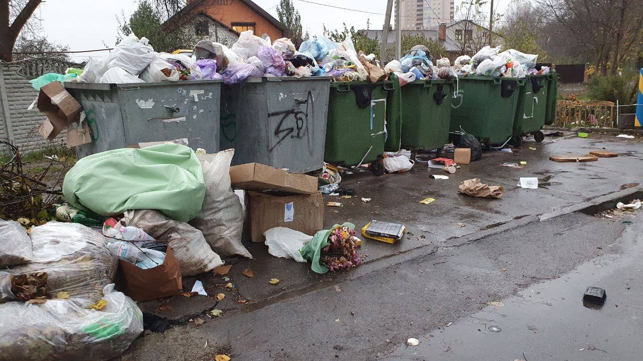 Мусорник в Днепре
