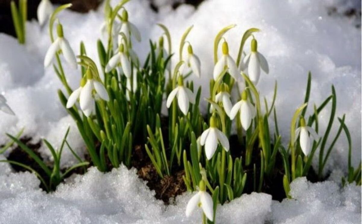 Какой сегодня праздник и кого поздравлять с именинами: 25 февраля — все об этом дне