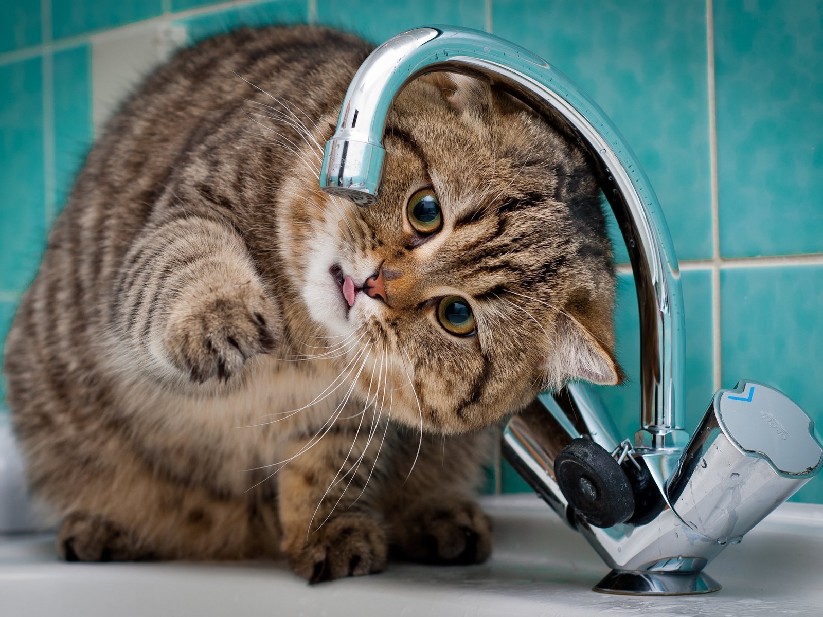 В части Днепра и пригороде отсутствует водоснабжение из-за аварийных работ