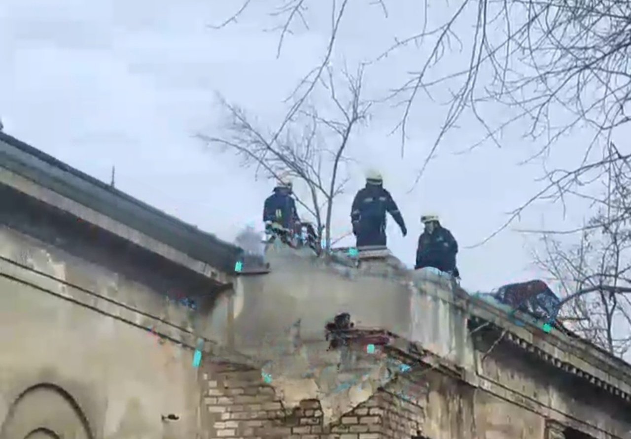 У Дніпрі надзвичайники рятували собаку, яку підлітки затягли на дах закинутої будівлі