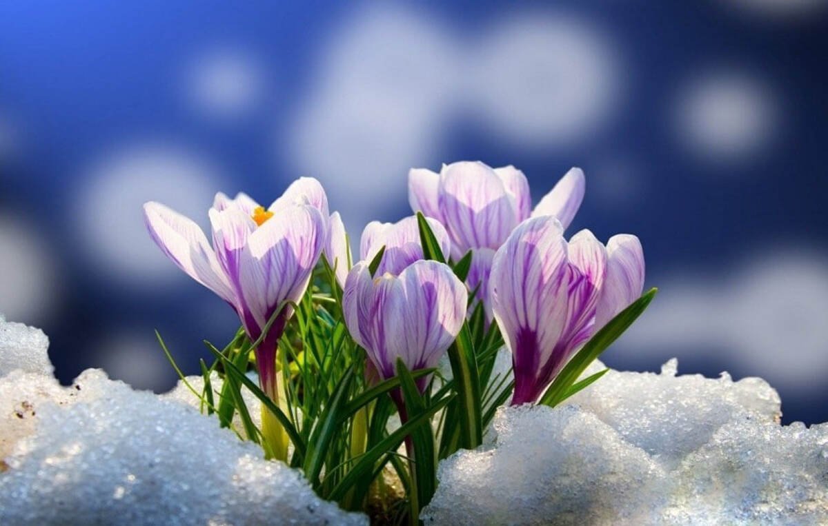 Какой сегодня праздник и кого поздравлять с именинами: 2 марта — все об этом дне