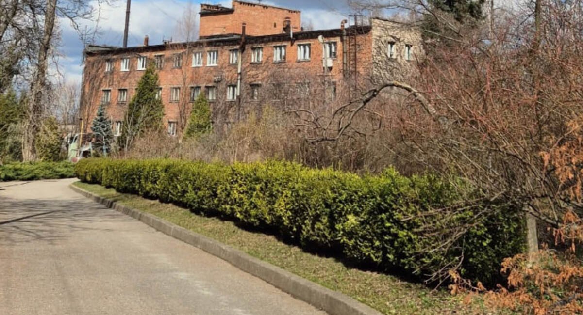 Як ботсад у Дніпрі працює у березні: коли заплановані робочі суботи 