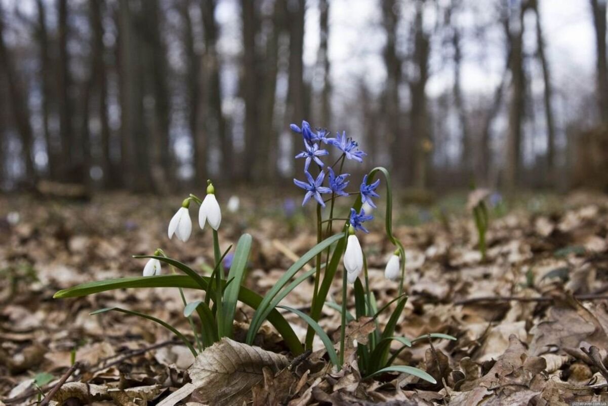 Погода у Дніпрі 4 березня: хмарно з проясненнями